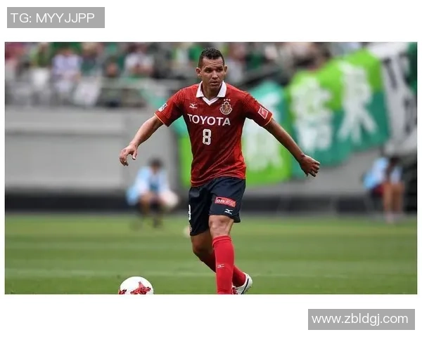 波特兰与圣何塞精彩对决直播全程回顾与分析